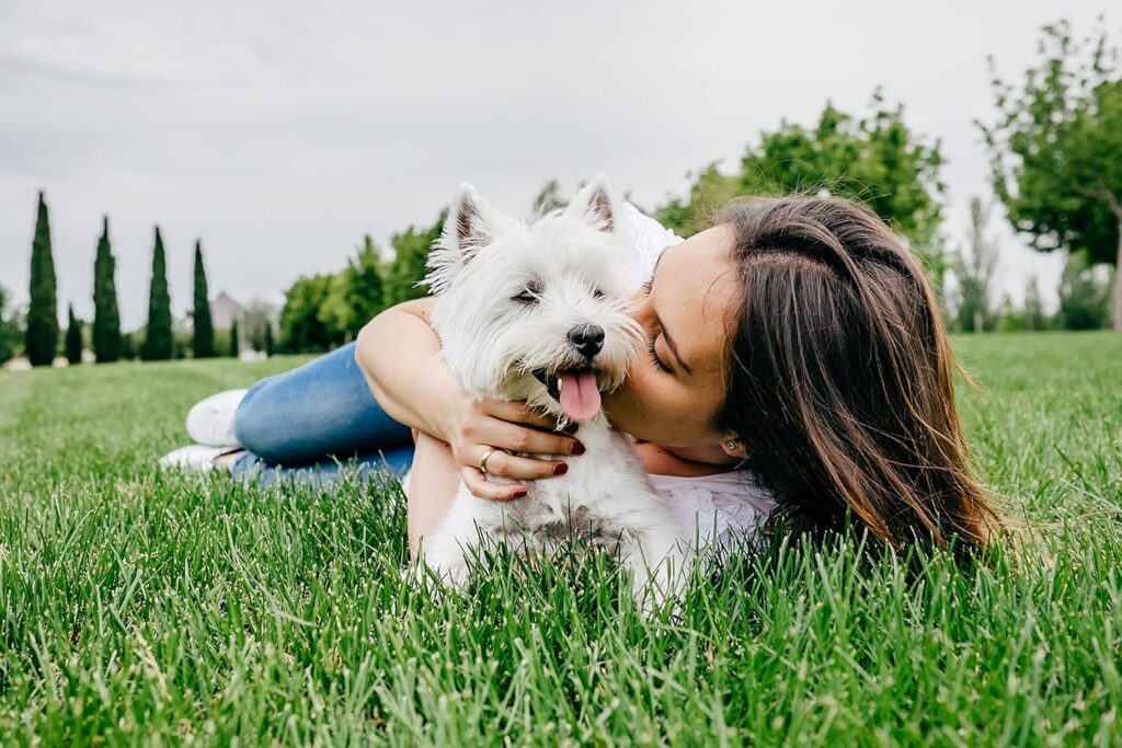 Cesar Junior Cibo per Cane Cucciolo Puppy con tenero Tacchino e Vitello 150 g - 14 vaschette