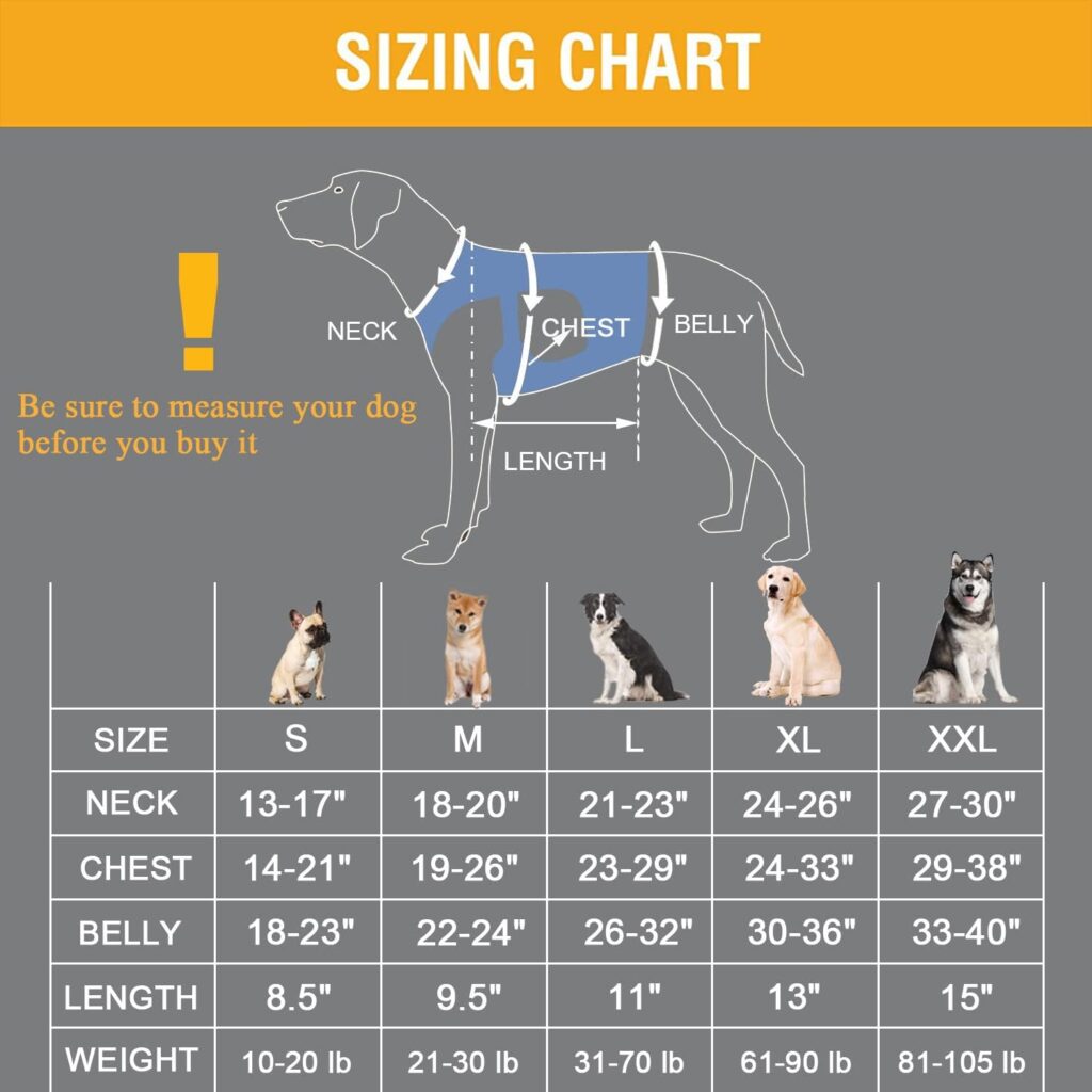 Coodeo Imbracatura per Ascensori per Cani, Imbracatura di Supporto e Recupero, Gilet di Riabilitazione per Animali Domestici Cinghie Traspiranti Regolabili per Anziani, Disabili (M)
