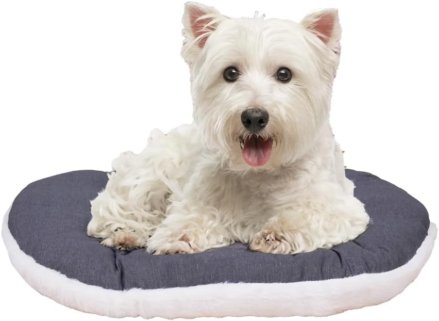 FERPLAST - Cuccia per cani e gatti - Cuscino per cani di piccole dimensioni - Materassino per cani - Tappetino per cucce e auto - Morbido letto per cani - Relax, 55 x 36 CM, BEIGE