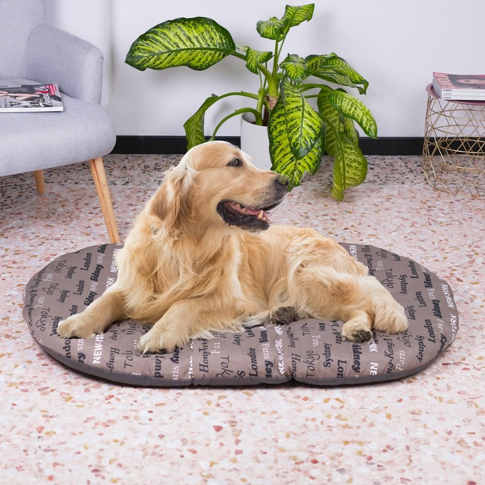 FERPLAST - Cuccia per cani e gatti - Cuscino per cani di piccole dimensioni - Materassino per cani - Tappetino per cucce e auto - Morbido letto per cani - Relax, 55 x 36 CM, BEIGE