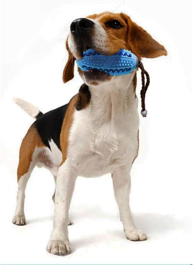 Gioco Cani - Gioco di intelligenza,Bastoncino per La Pulizia dei Denti in Gomma Resistente - per Cani di Taglia Media