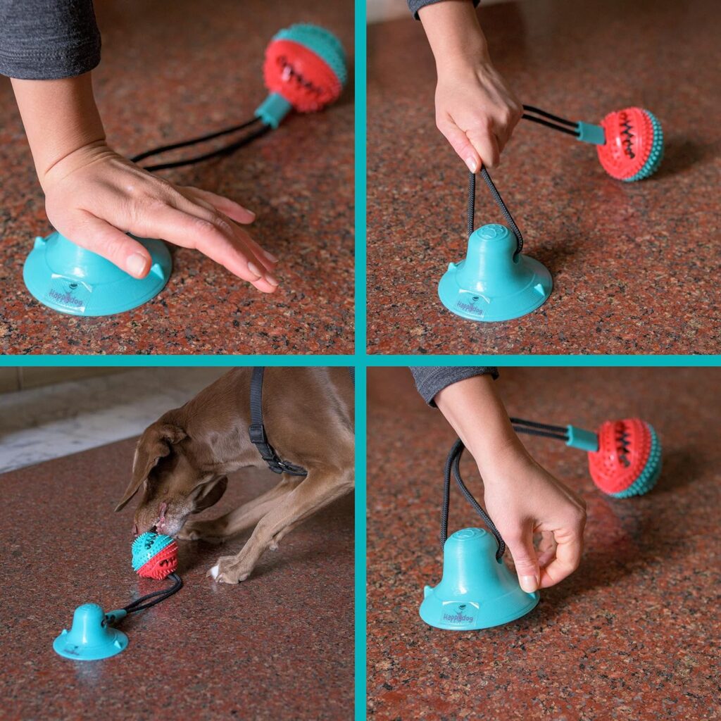 HAPPYDOG - Gioco interattivo cane per tutte le taglie - Giochi attivazione mentale cane divertente e stimolante - Materiale resistente ai morsi - Palla masticabile e fune elastica
