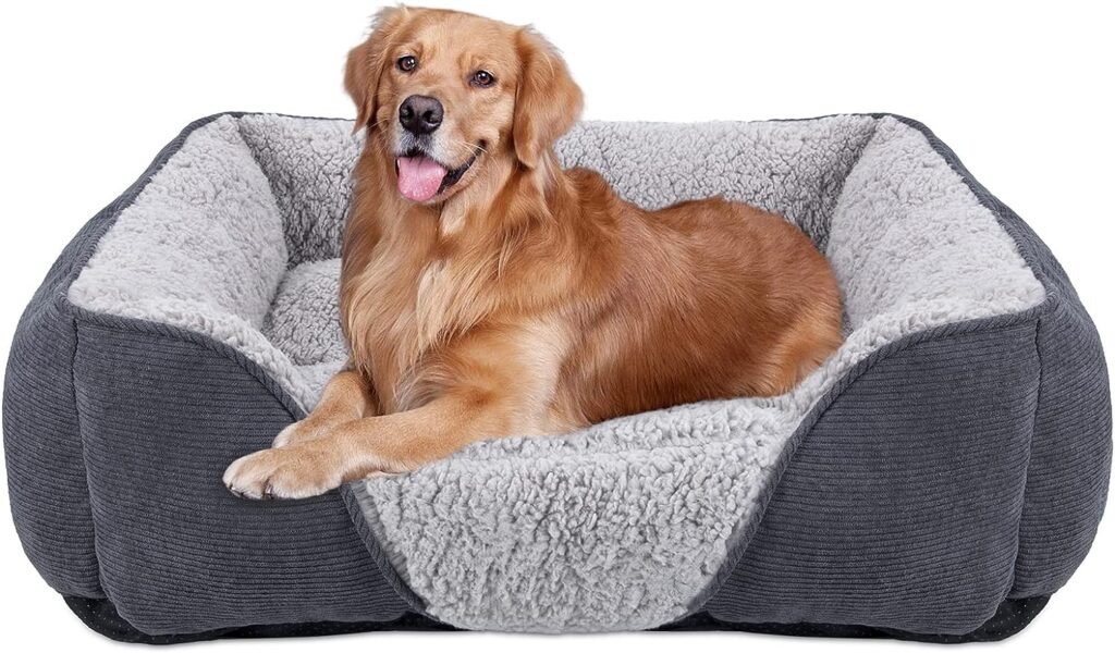 JOEJOY Cuccia Cane Interno Taglia Grande Medio, Cuccia per Cani Lavabile, Letto per cani morbida e antiscivolo, Cucce da interno rettangolari Grande, Letto per cani morbida, L(76×61×23 cm) Grigio