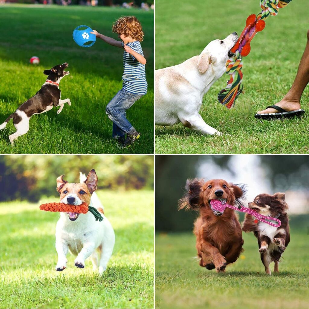 MUOIVG Set di 15 giocattoli durevoli e indistruttibili per cani piccoli e medi, giocattolo interattivo
