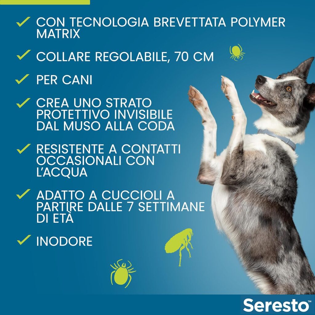 Seresto Collare antiparassitario, Elimina pulci, zecche, pidocchi e protegge dal rischio di trasmissione della leishmaniosi, Per cani fino a 8 kg e fino a 8 mesi